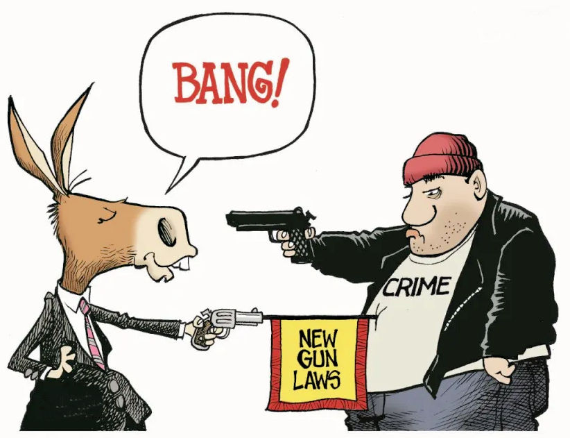 Useless Gun Laws